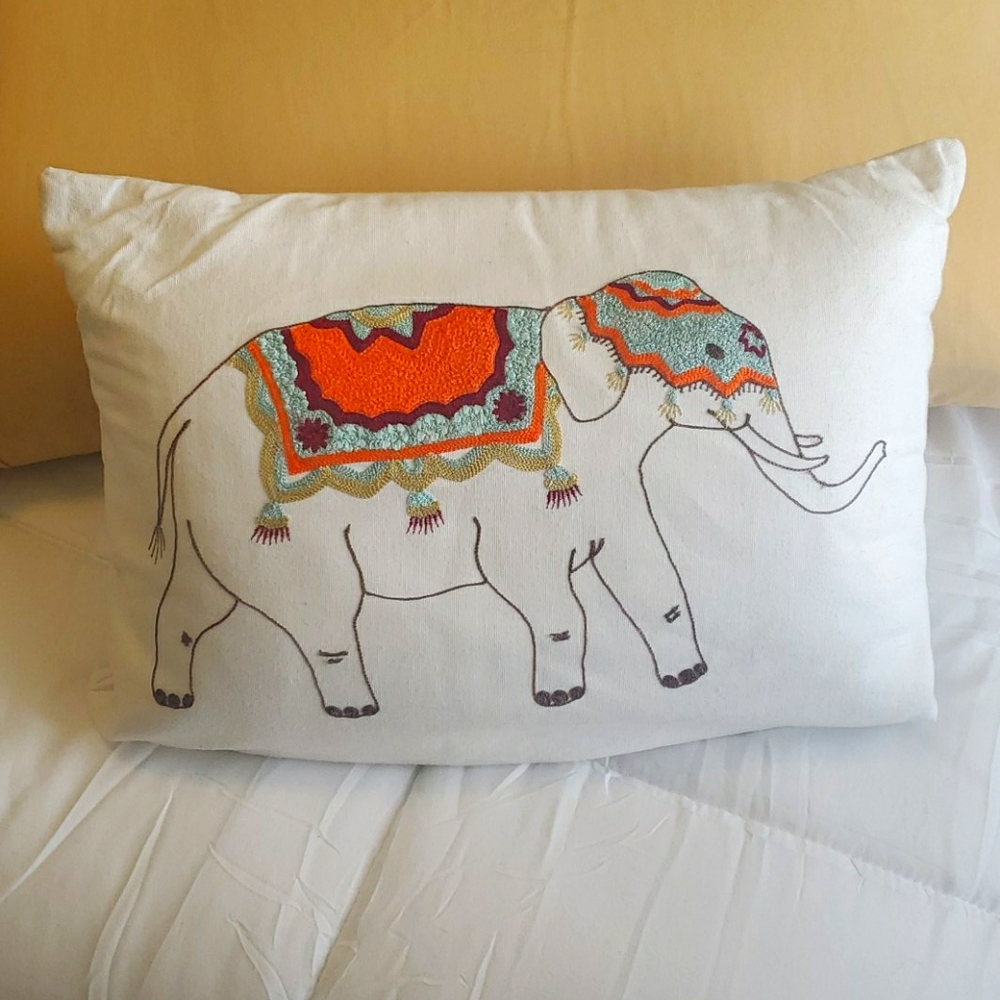 Colorful Decorative Pillow Case